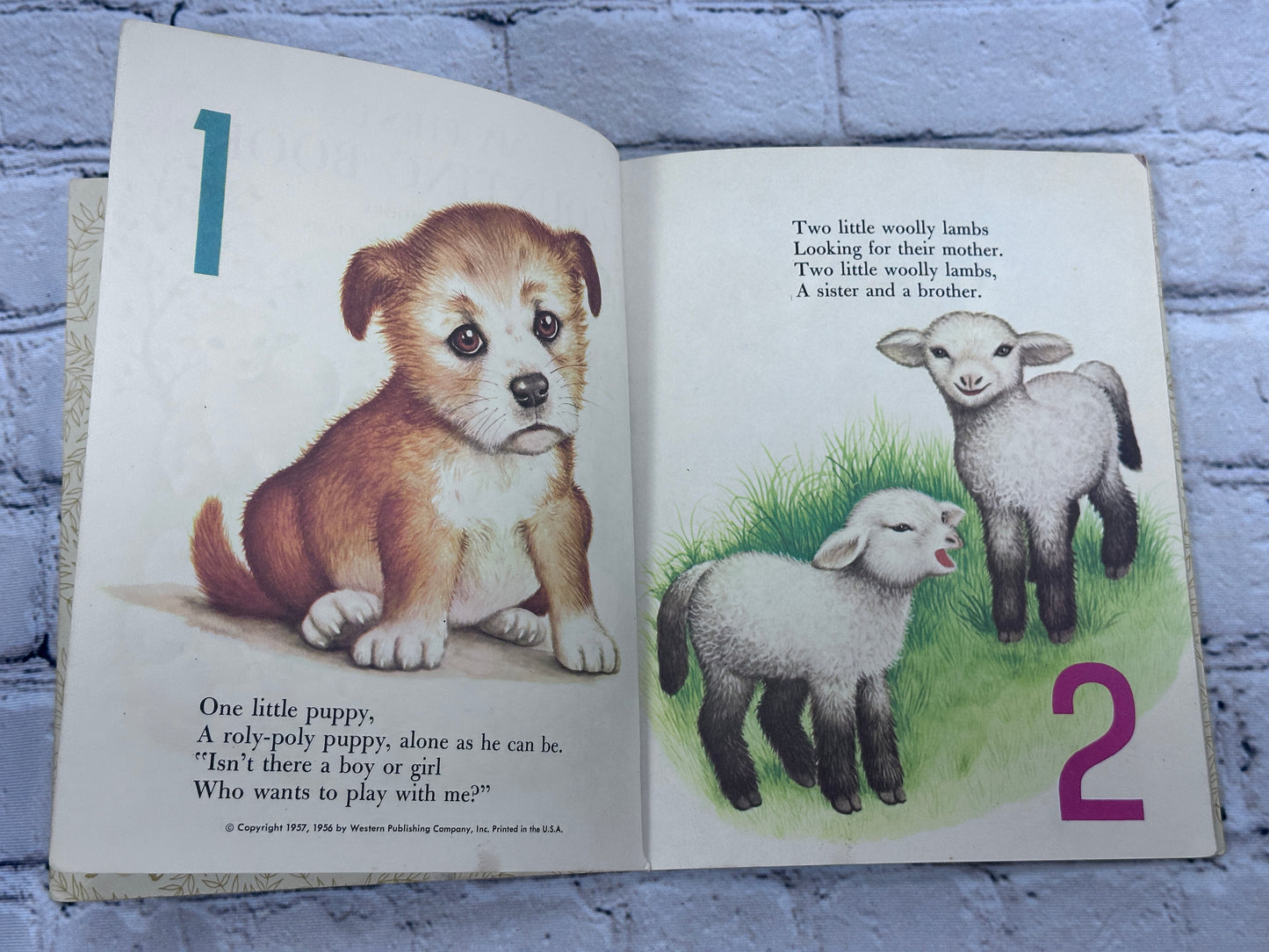 My First Counting Book [A Little Golden Book]