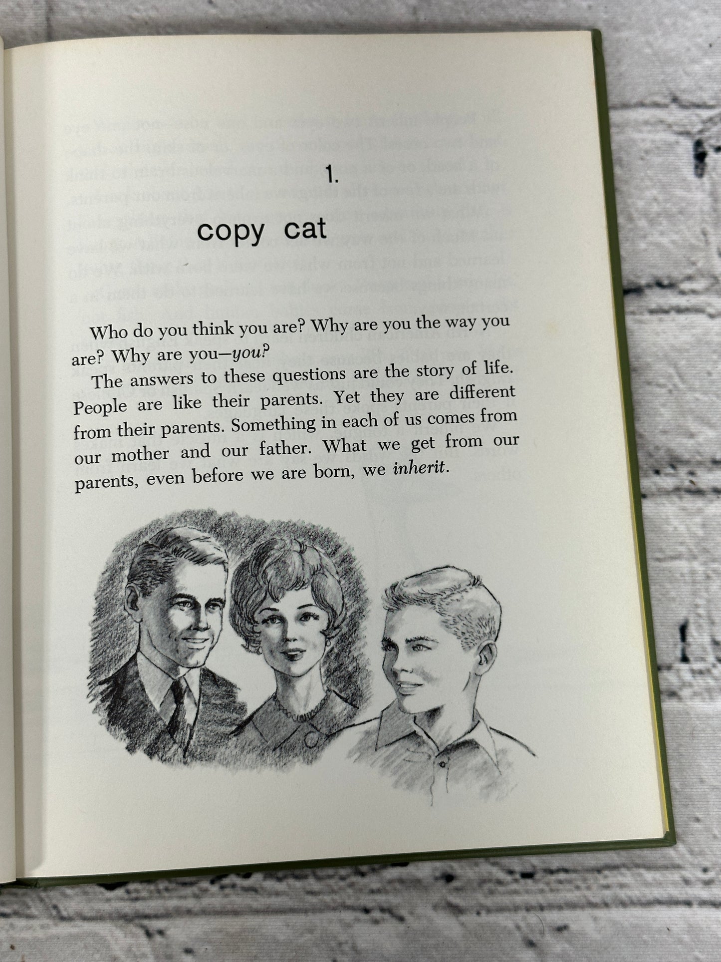 Who Do You Think You Are? The Story of Heredity by Marguerite Lerner [1st Edition · 1963]