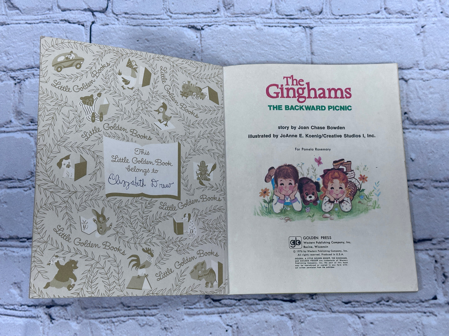 The Ginghams The Backward Picnic [A Little Golden Book · 1976]