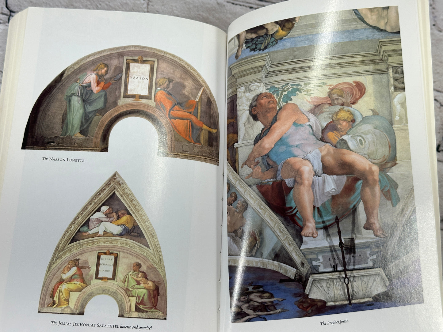 Michelangelo and the Pope's Ceiling by Ross King [2003 · Sixth Printing]