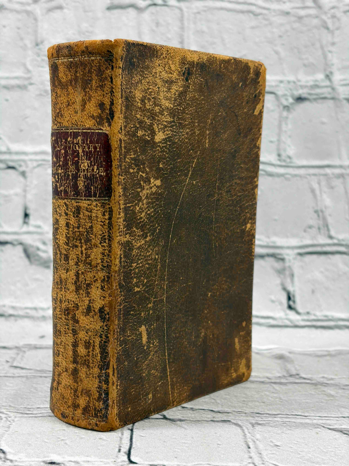 A Concise Dictionary of the Holy Bible
