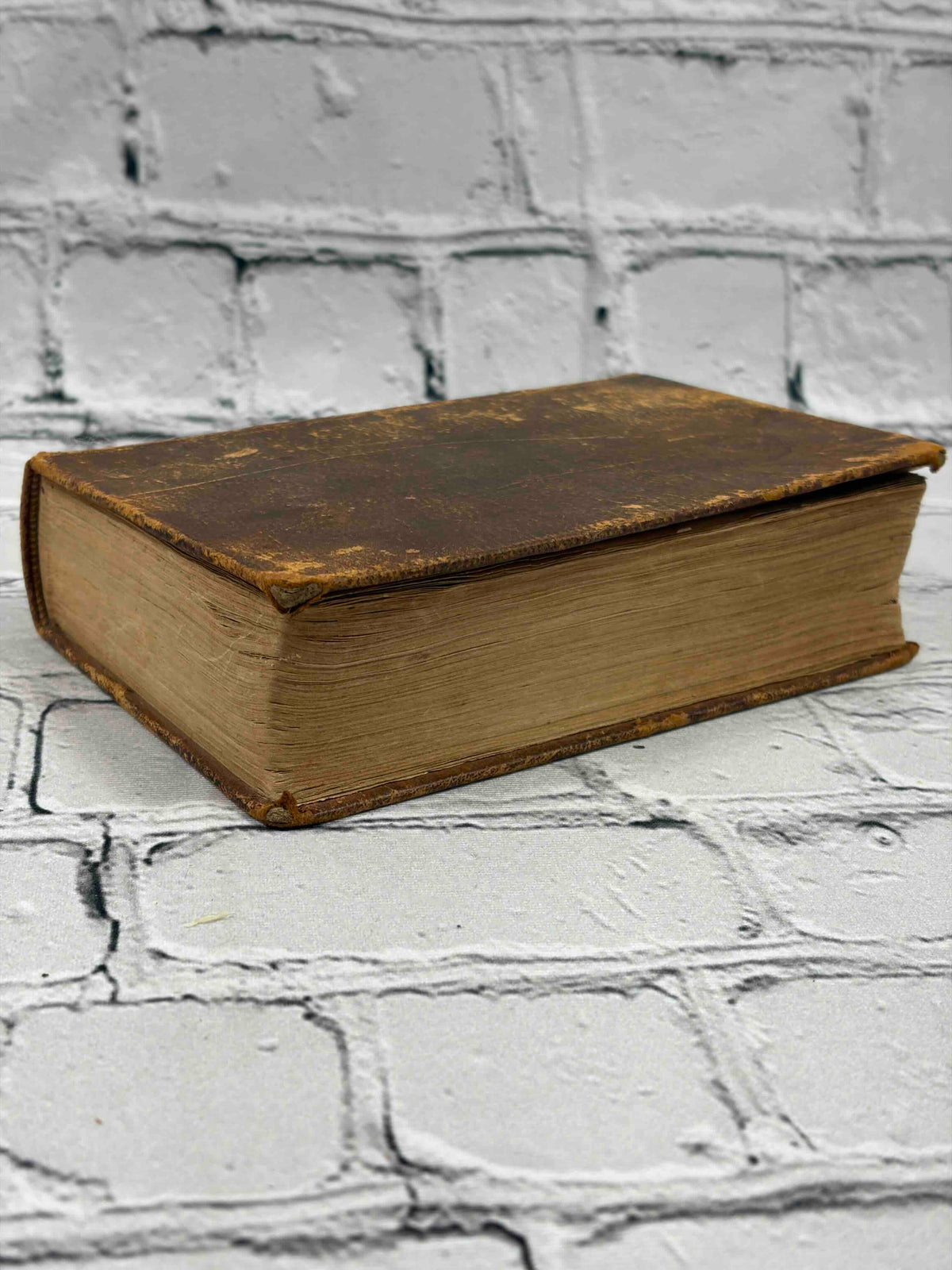 A Concise Dictionary of the Holy Bible