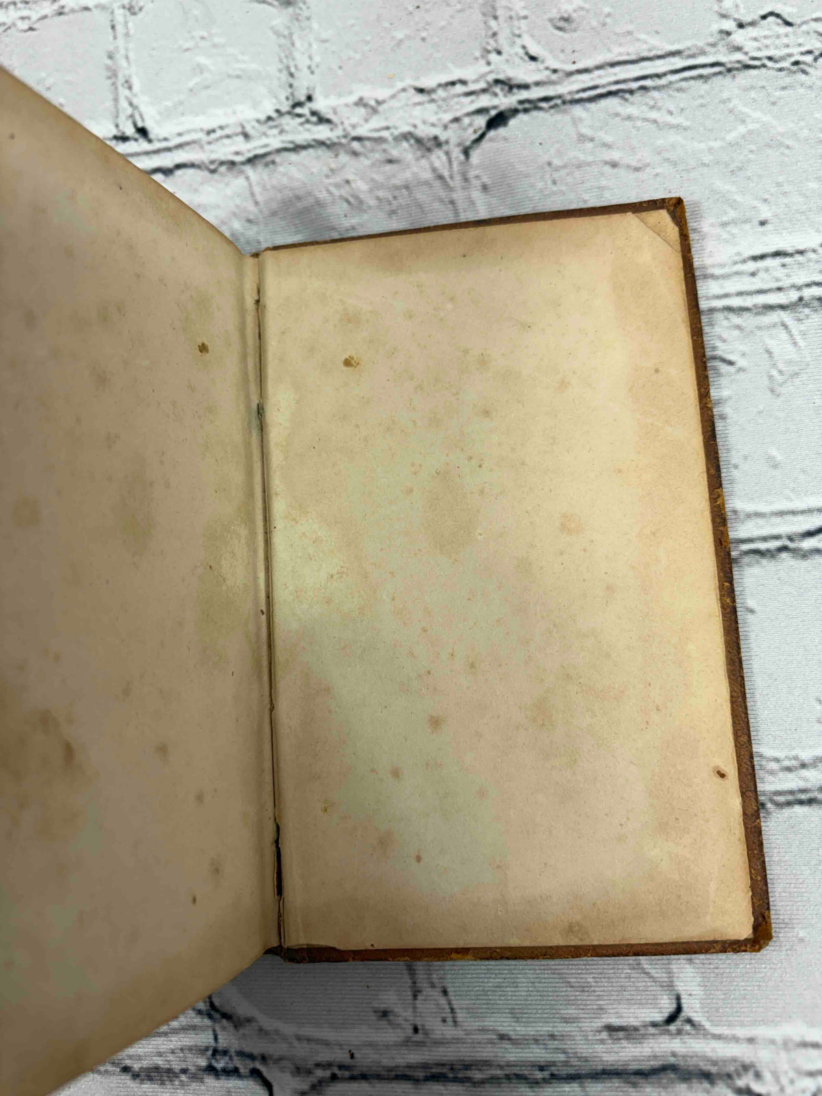 A Concise Dictionary of the Holy Bible