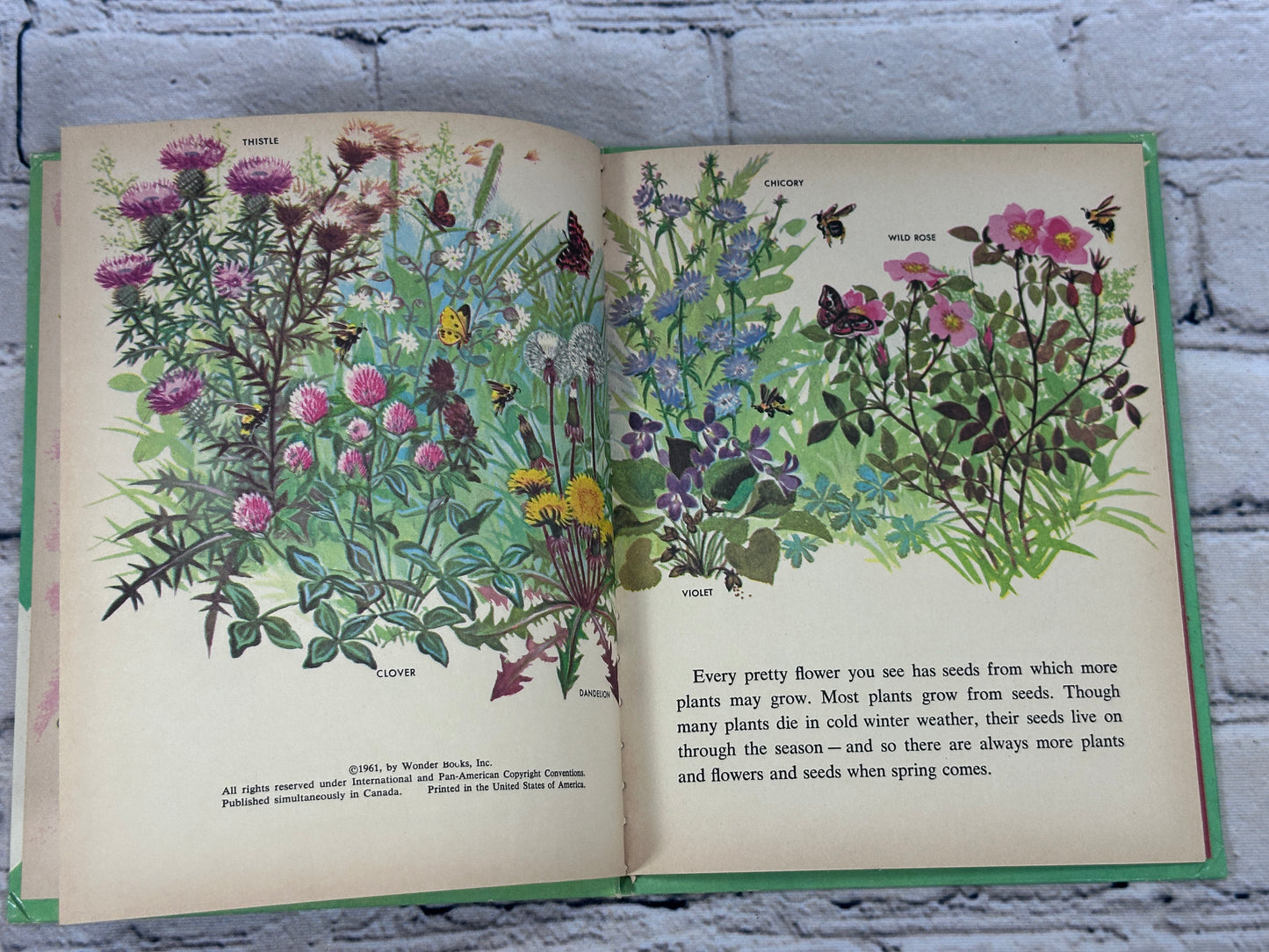 The Wonder Book of Flowers [Wonder Books · 1961]