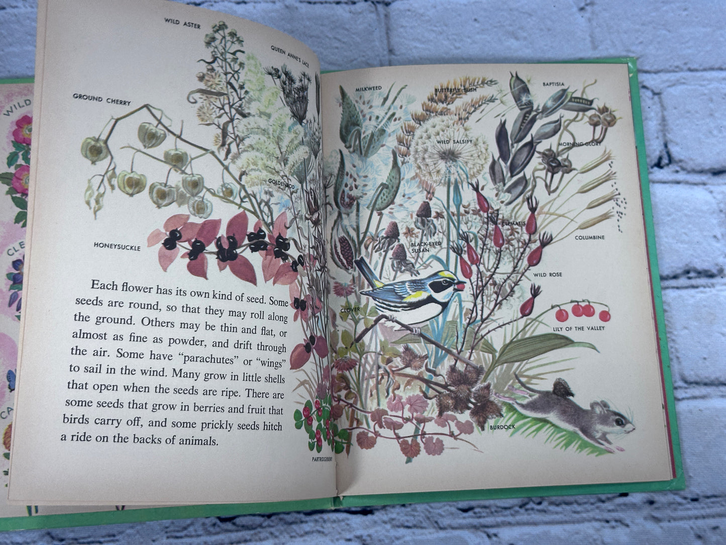 The Wonder Book of Flowers [Wonder Books · 1961]