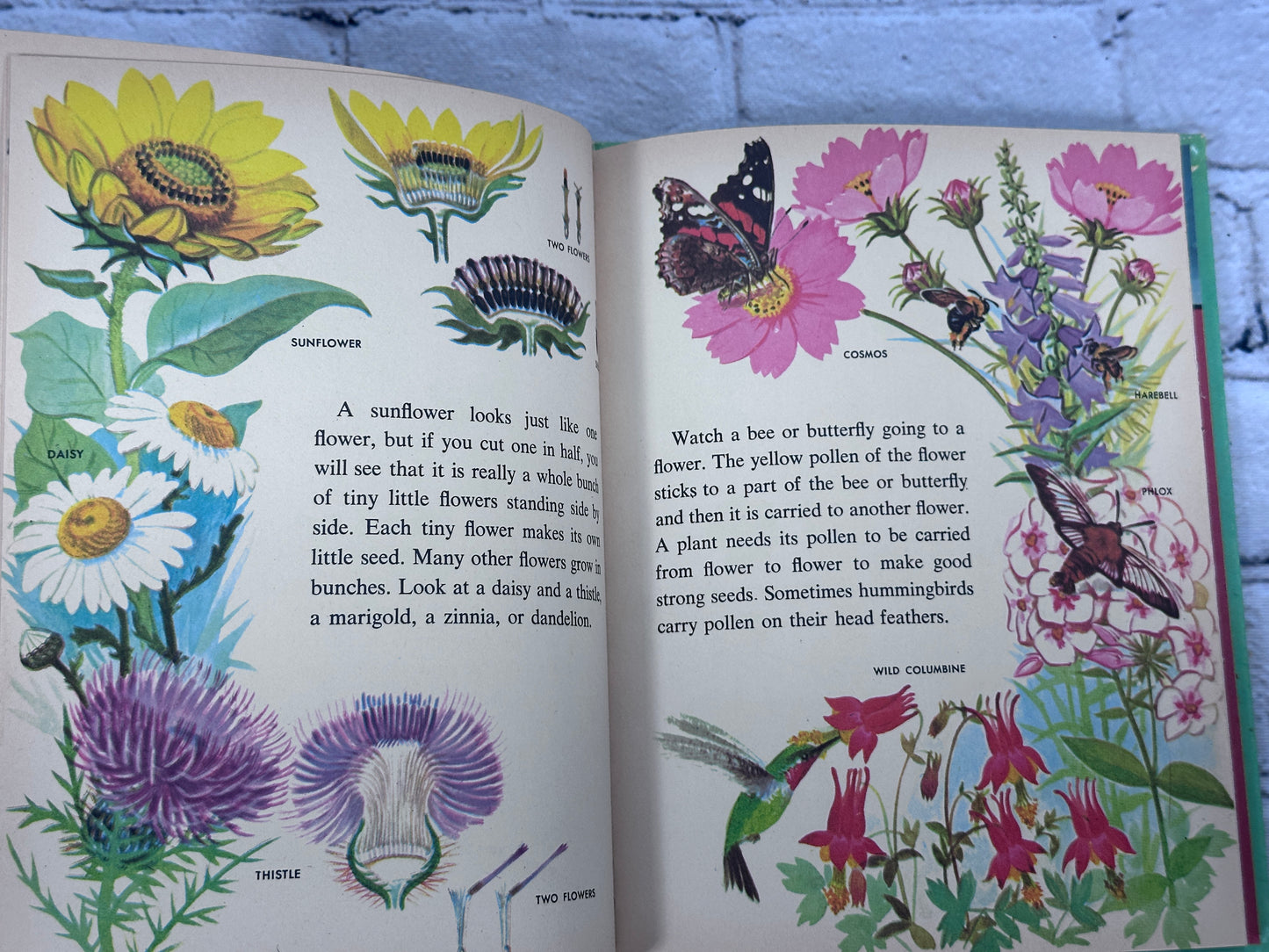 The Wonder Book of Flowers [Wonder Books · 1961]