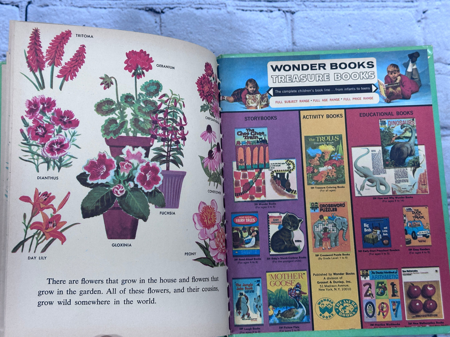 The Wonder Book of Flowers [Wonder Books · 1961]