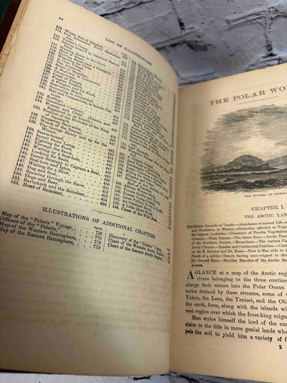 The Polar and Tropical Worlds
