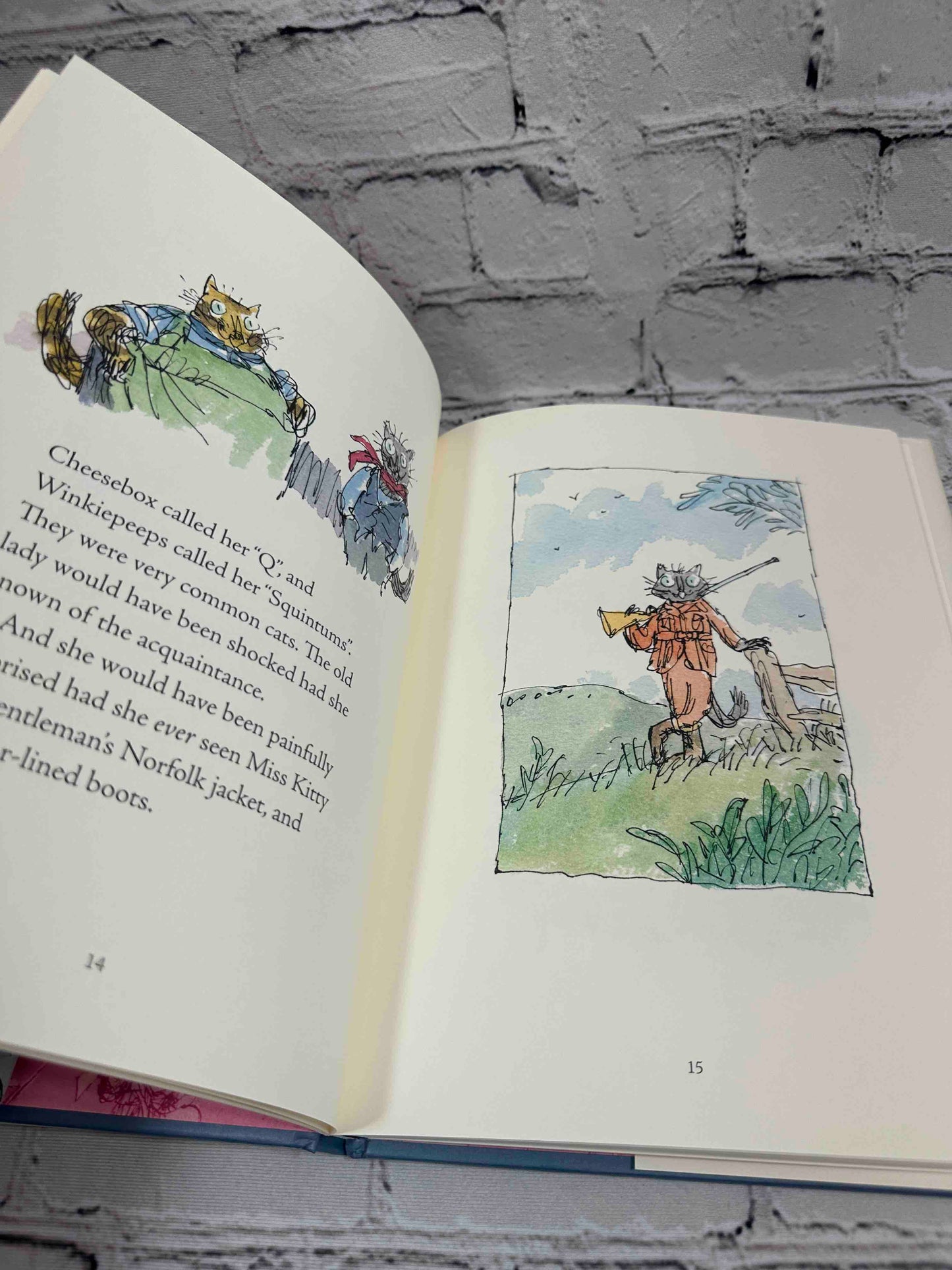 The Tale of Kitty-in-Boots (Peter Rabbit)