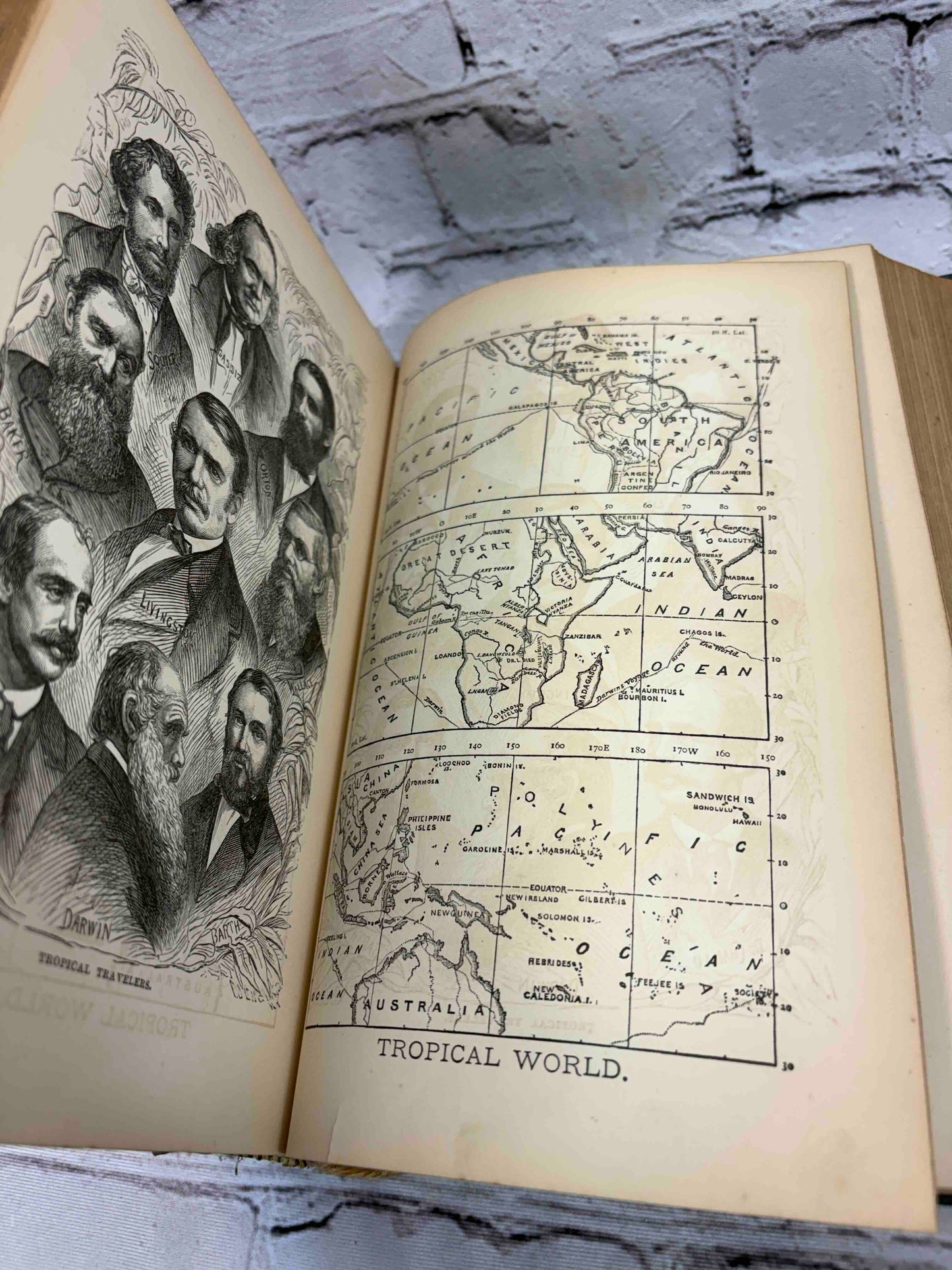 The Polar and Tropical Worlds