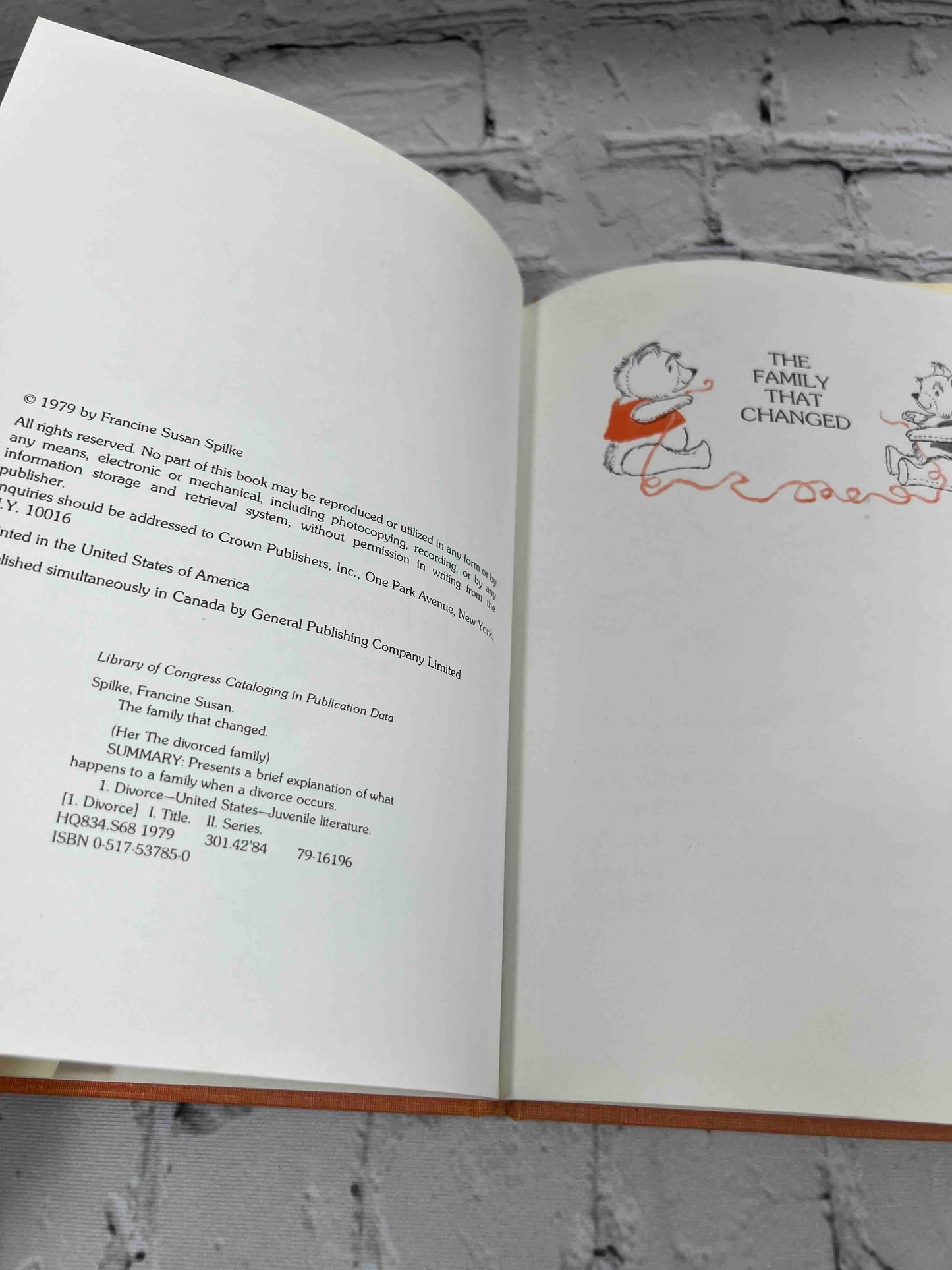 The Family that Changed: A Child's Book About Divorce