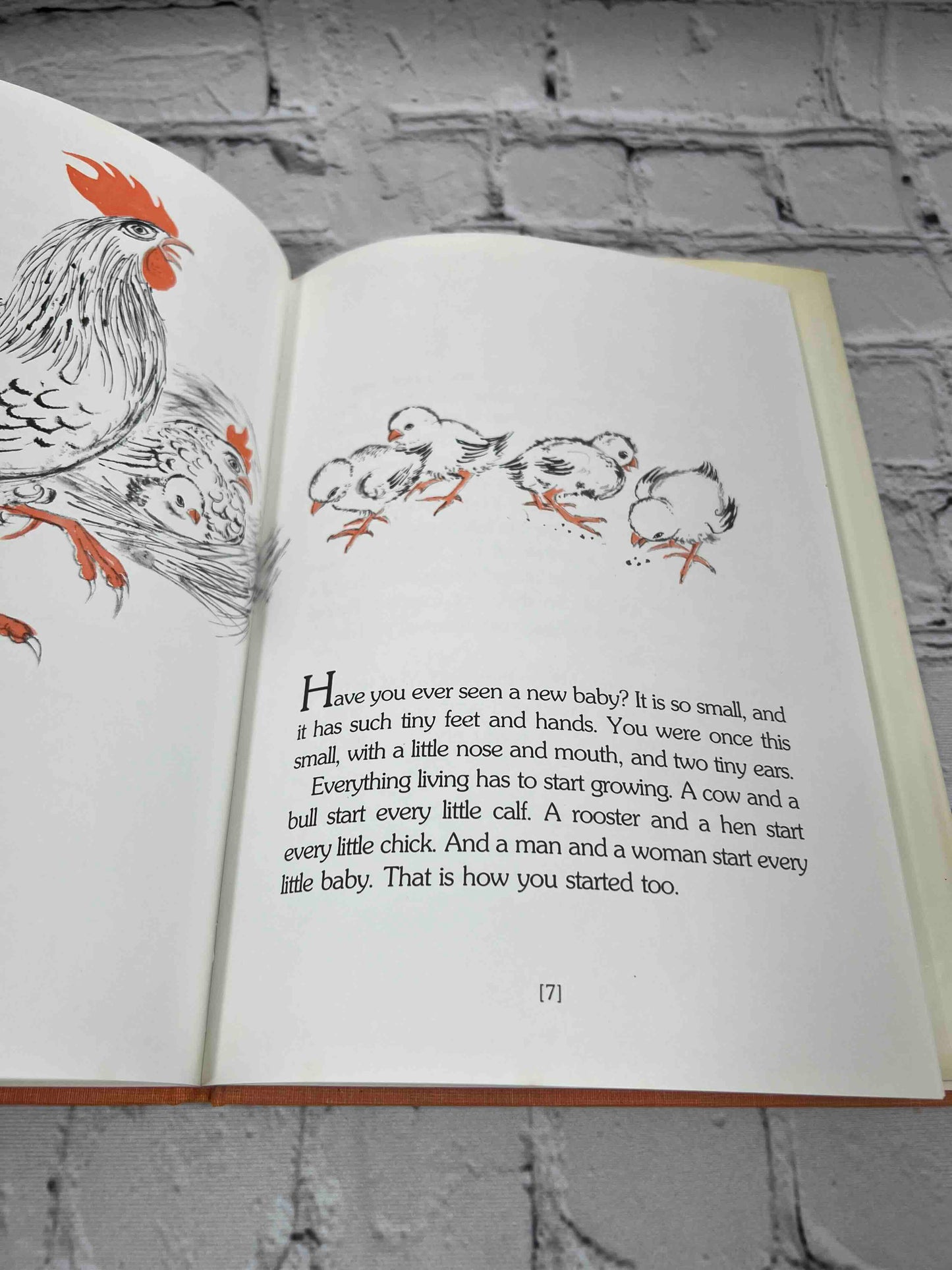 The Family that Changed: A Child's Book About Divorce