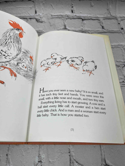 The Family that Changed: A Child's Book About Divorce