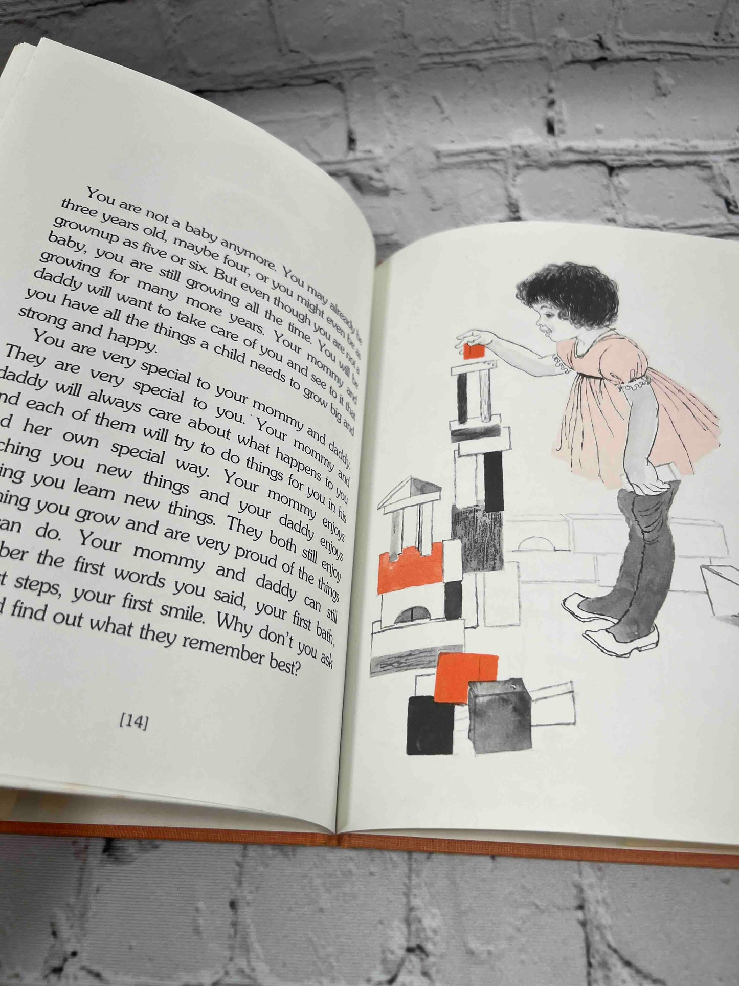 The Family that Changed: A Child's Book About Divorce