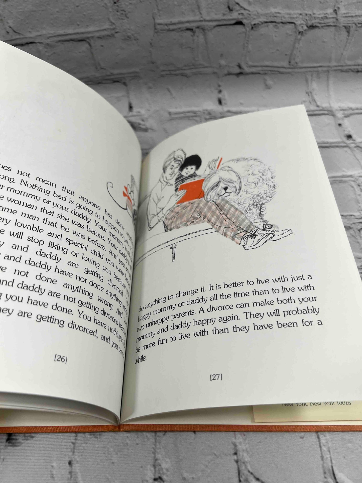 The Family that Changed: A Child's Book About Divorce