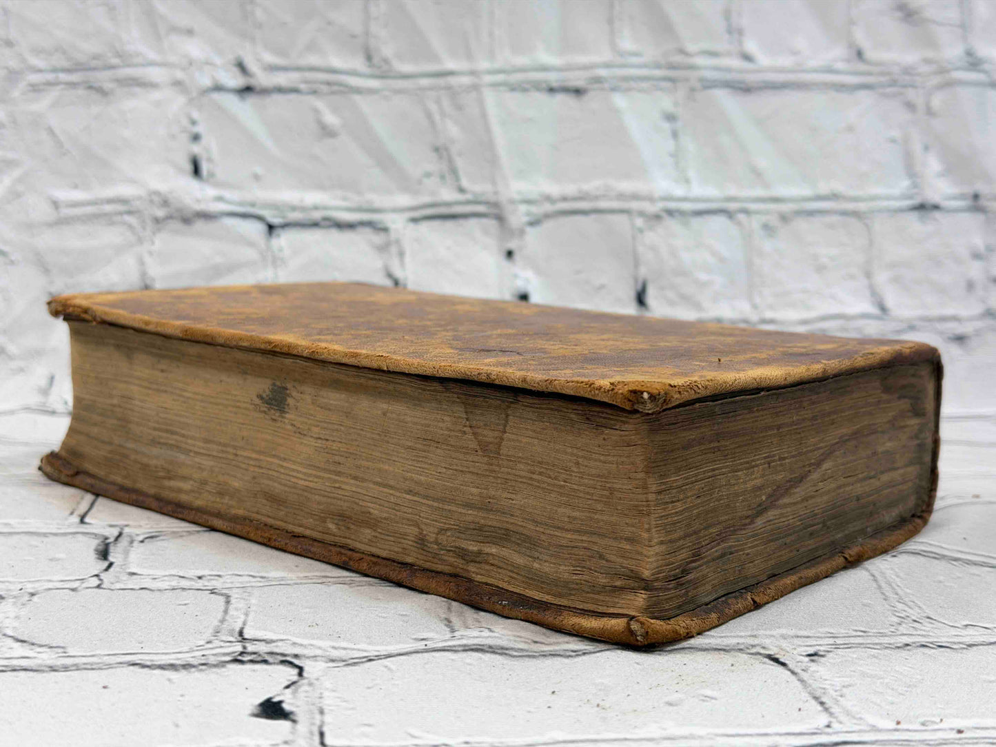 A Dictionary of the Holy Bible