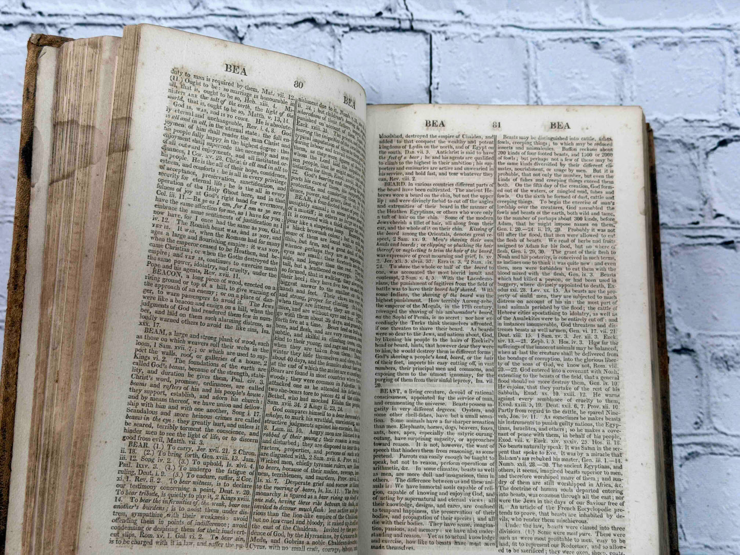 A Dictionary of the Holy Bible
