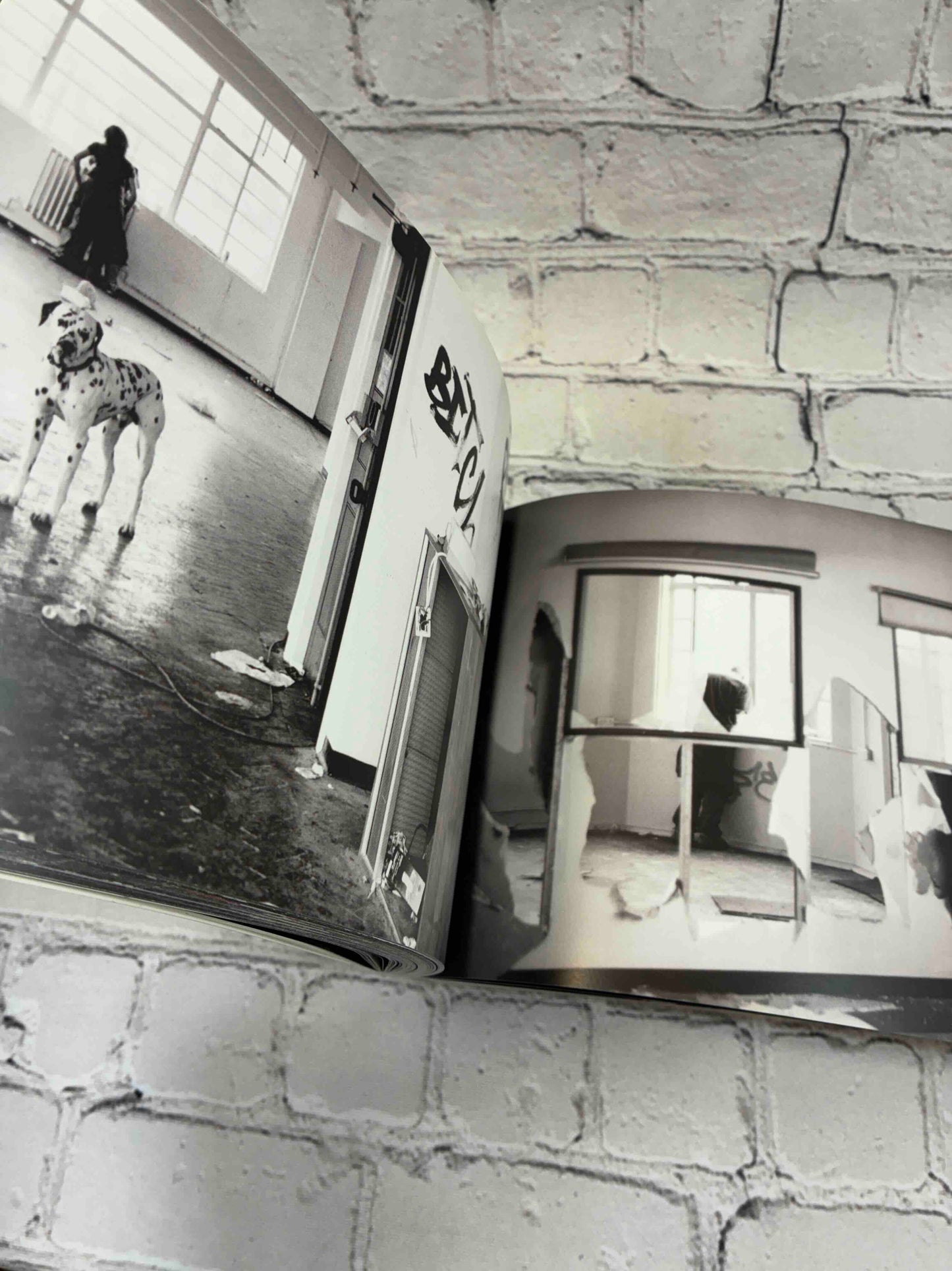 Out of Order: A Photographic Celebration of the Free Party Scene