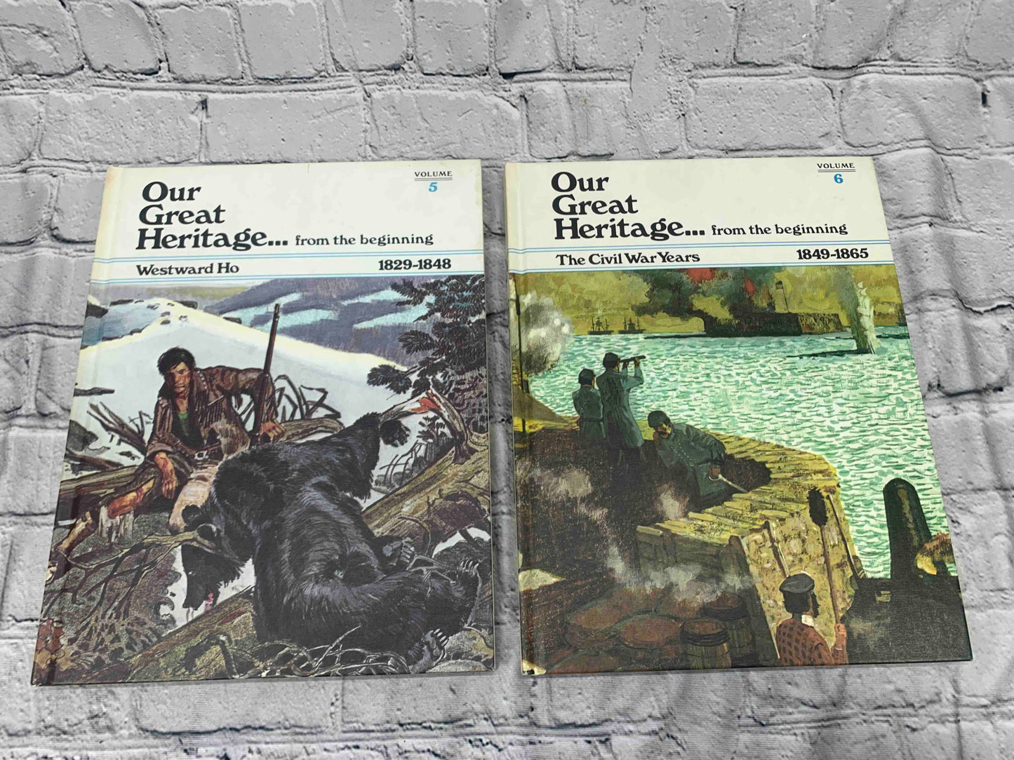 Our Great Heritage ... From the Beginning book series (12 Book Set)