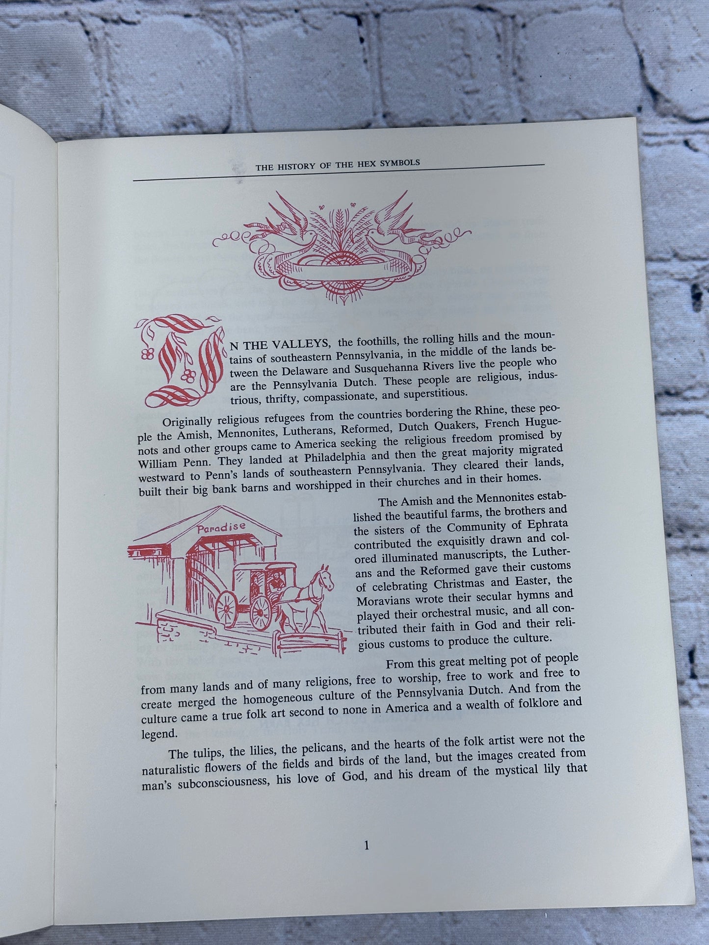 Hexology: The History & Meaning of the Hex Symbols by Jacob & Jane Zook [1984]