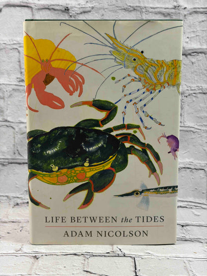 Life Between the Tides