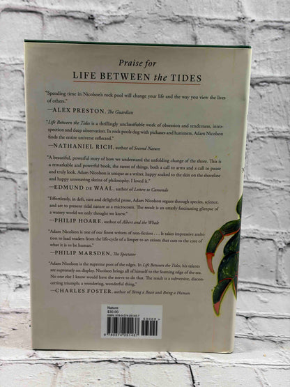 Life Between the Tides