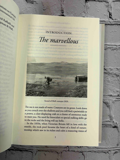 Life Between the Tides