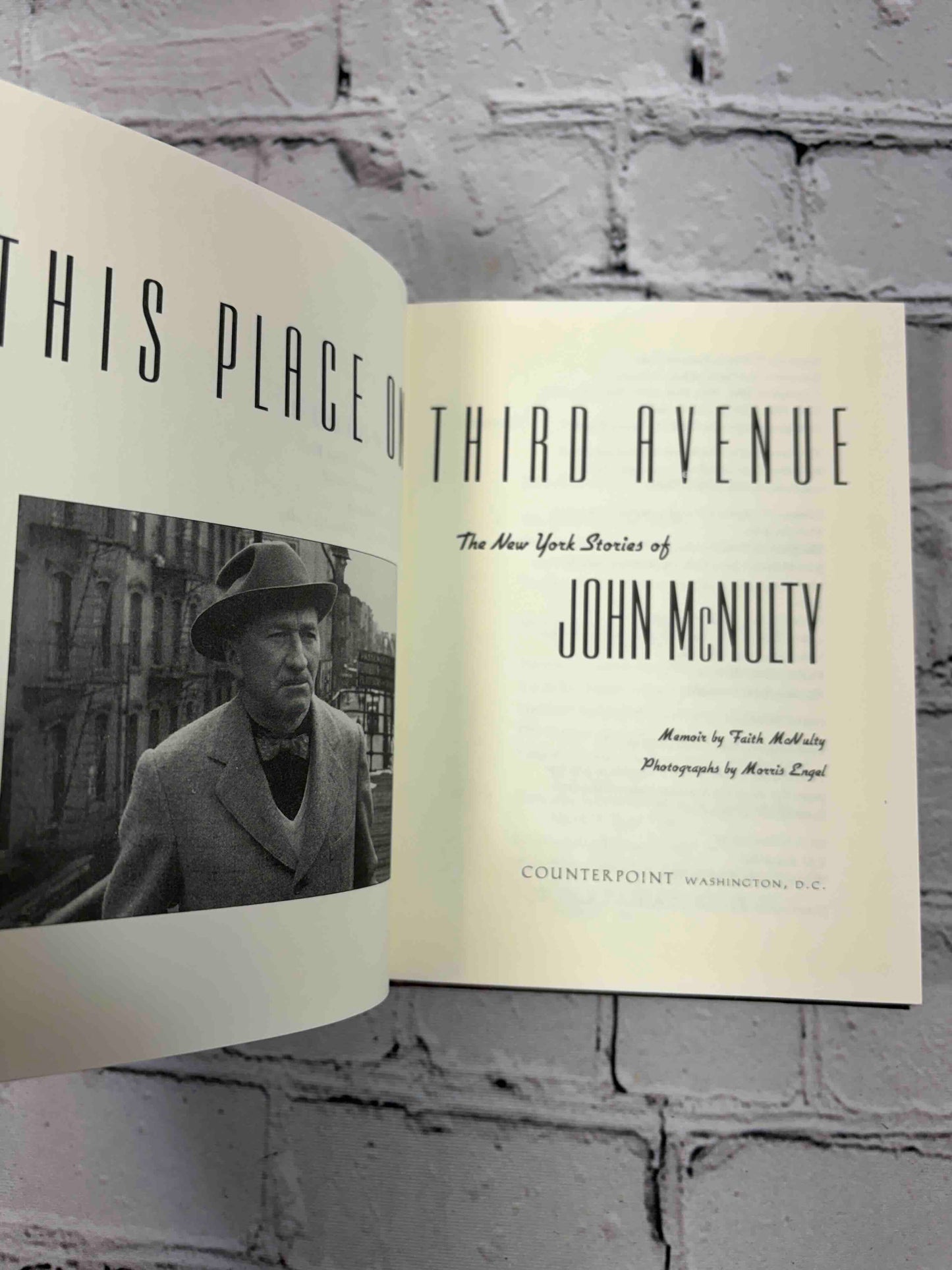 This Place on Third Avenue: The New York Stories of John McNulty