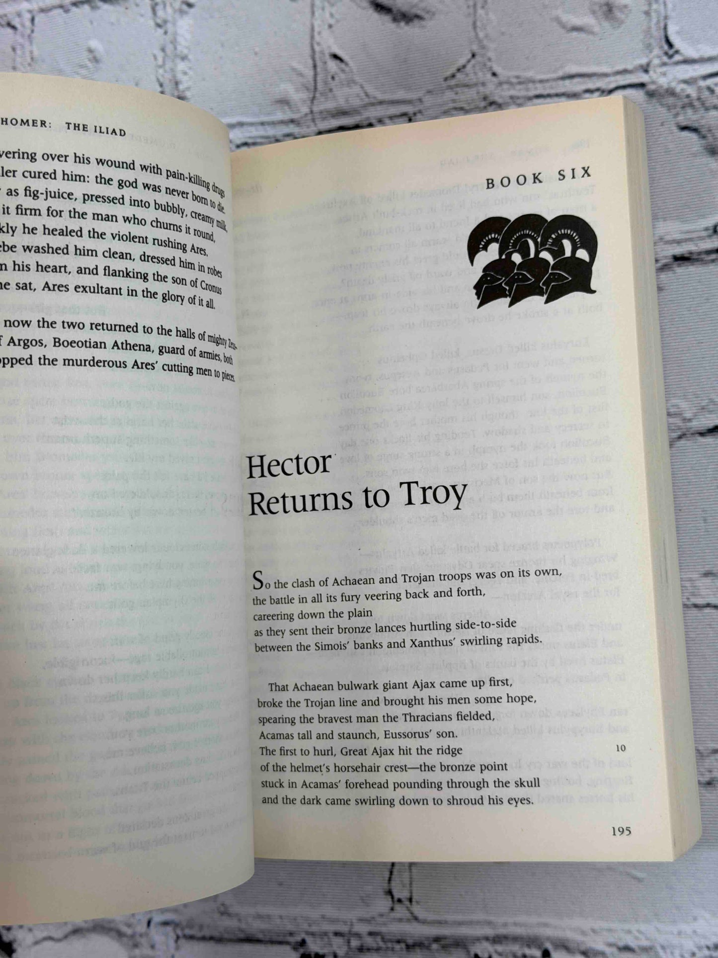 The Iliad