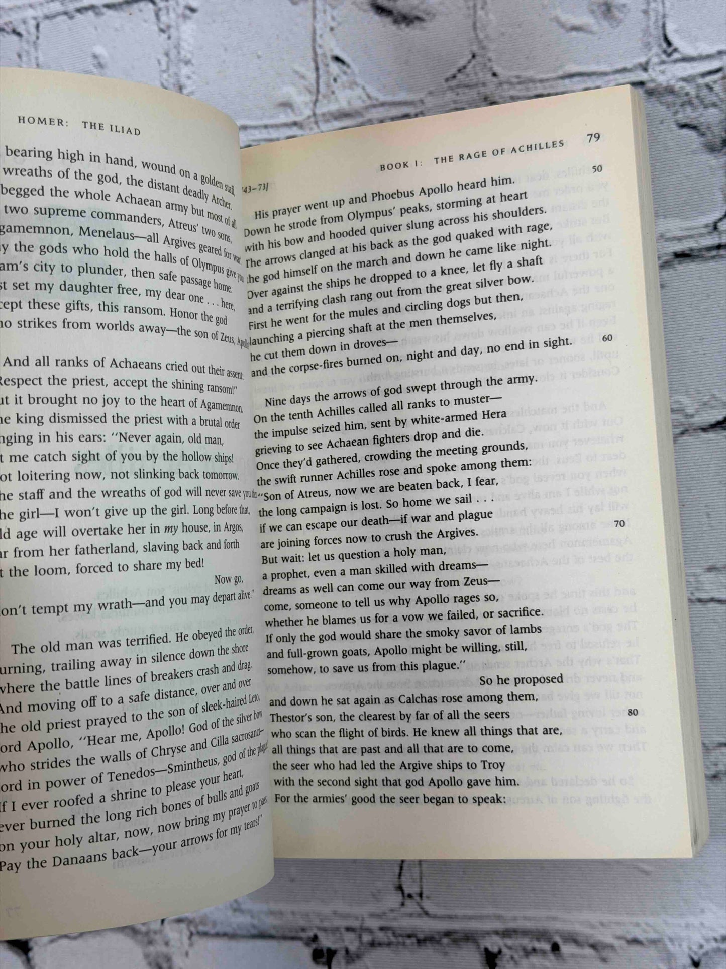 The Iliad