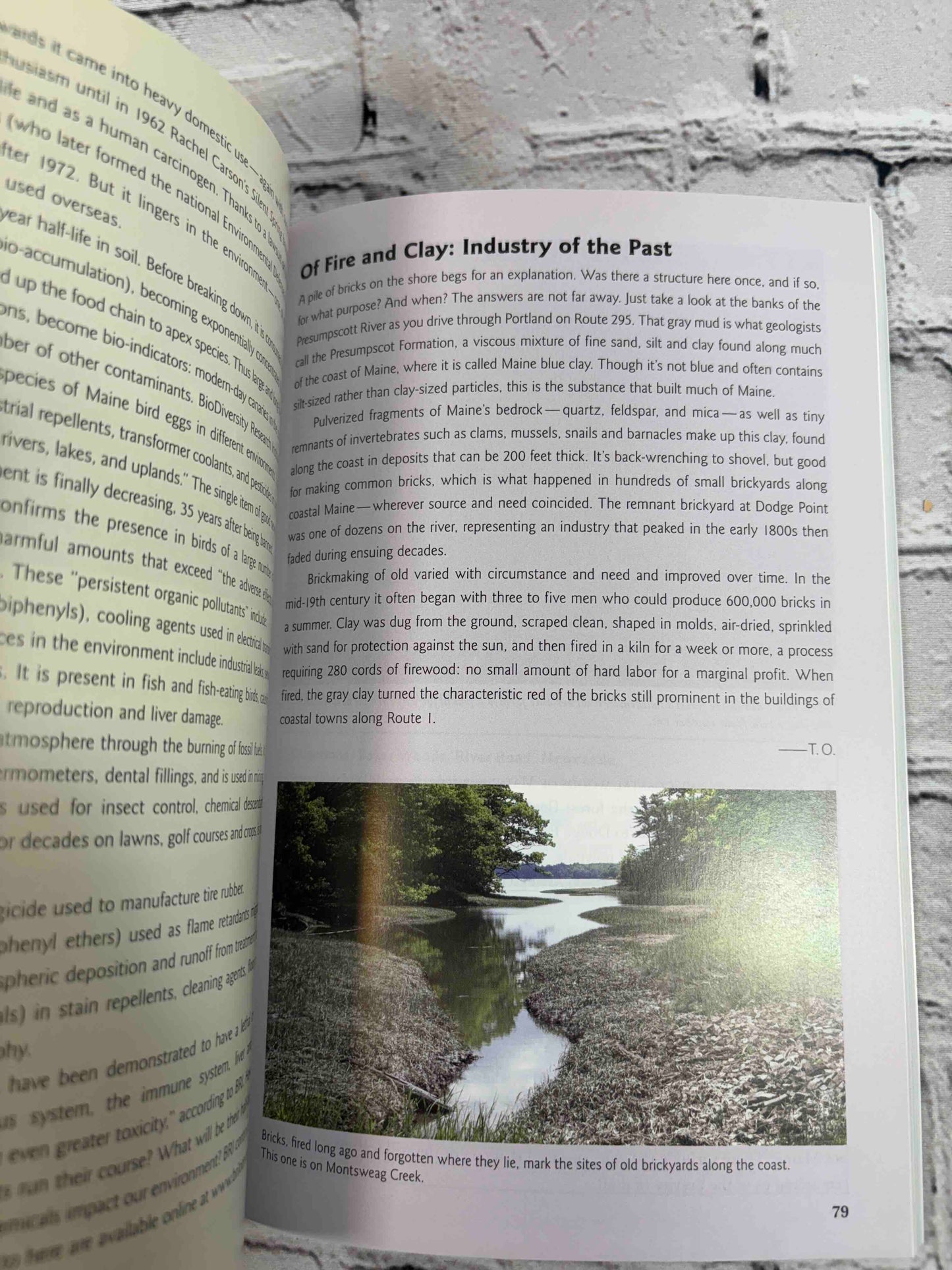 Best Nature Sites MidCoast Maine: Route 1 Corridor, Brunswick to Belfast