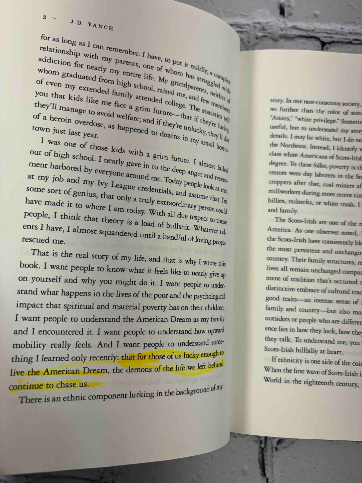 Hillbilly Elegy: A Memoir of a Family and Culture in Crisis