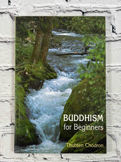 Buddhism for Beginners