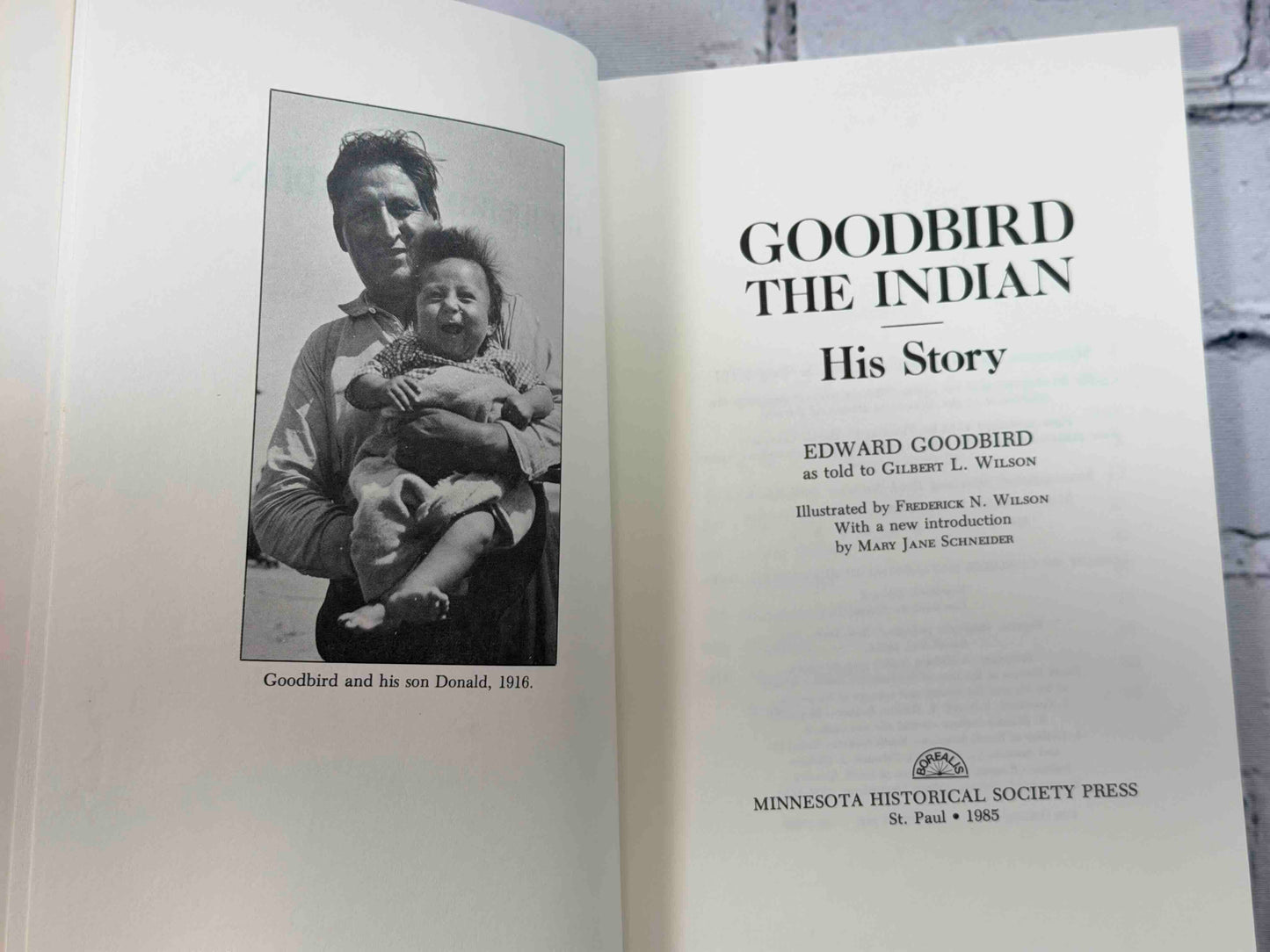 Goodbird the Indian