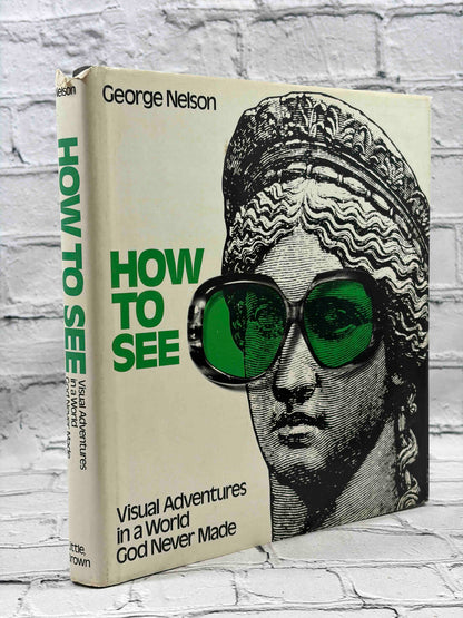 How to See: Visual Adventures in a World God Never Made