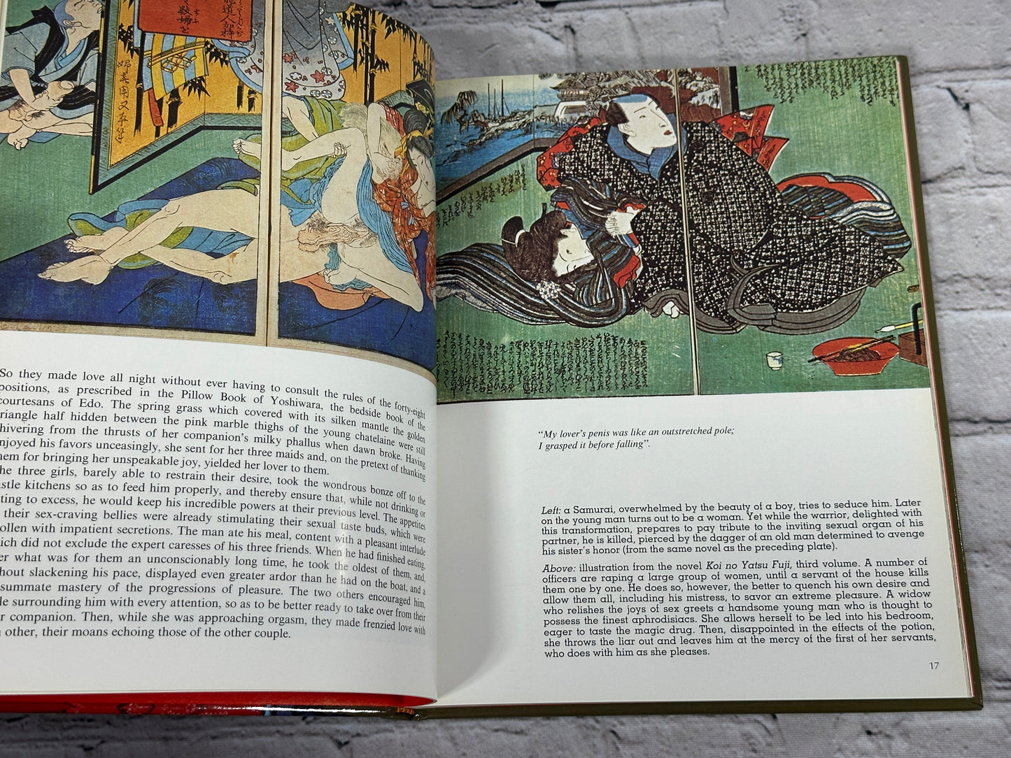 Japanese Art of Loving by Bernard Soulie [Magna Books]