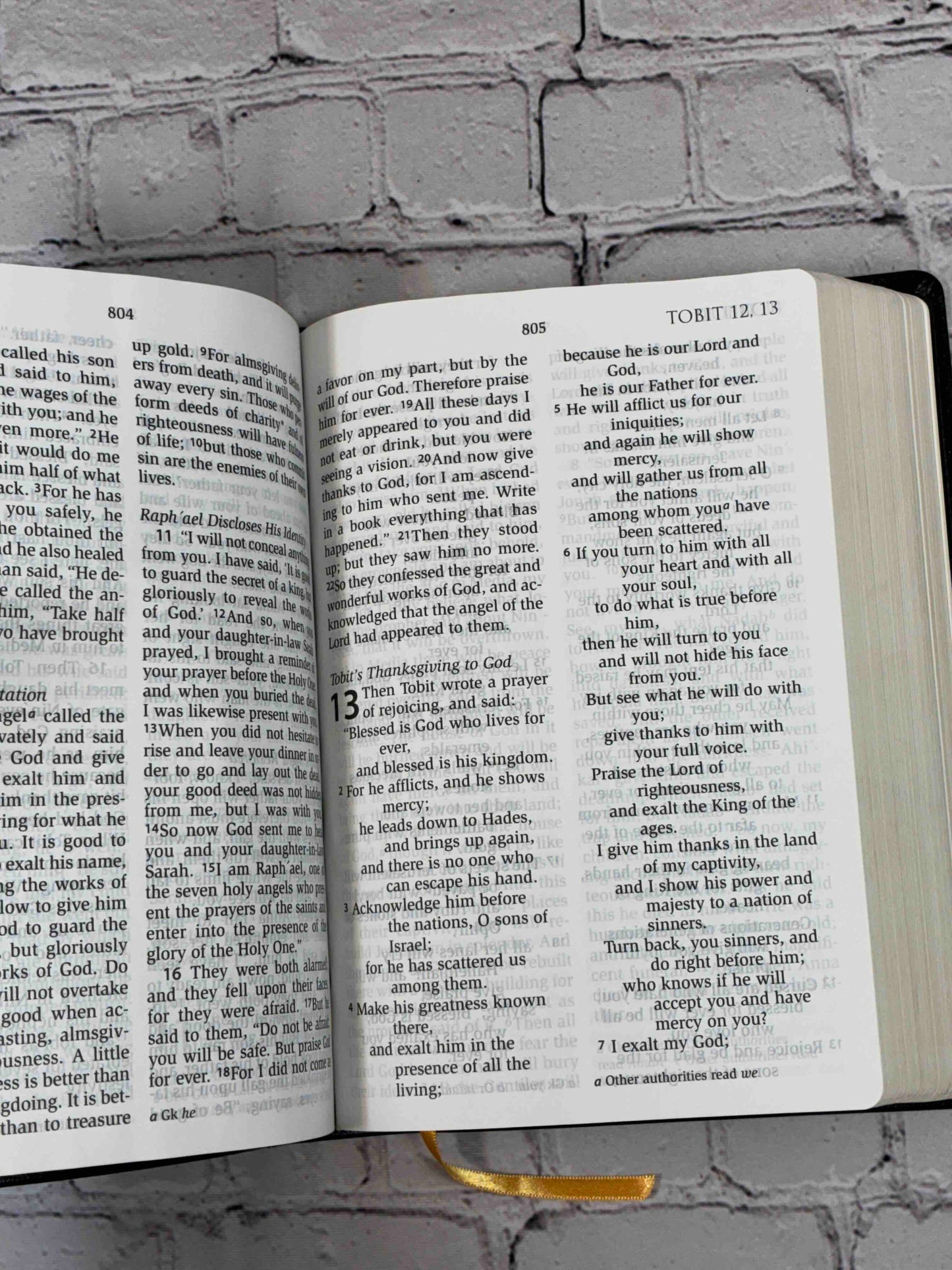 The Holy Bible: Revised Standard Version (Catholic Edition)