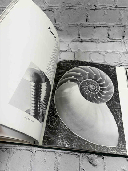 How to See: Visual Adventures in a World God Never Made