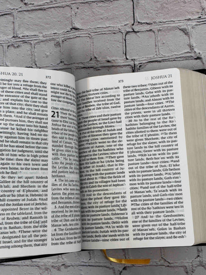 The Holy Bible: Revised Standard Version (Catholic Edition)