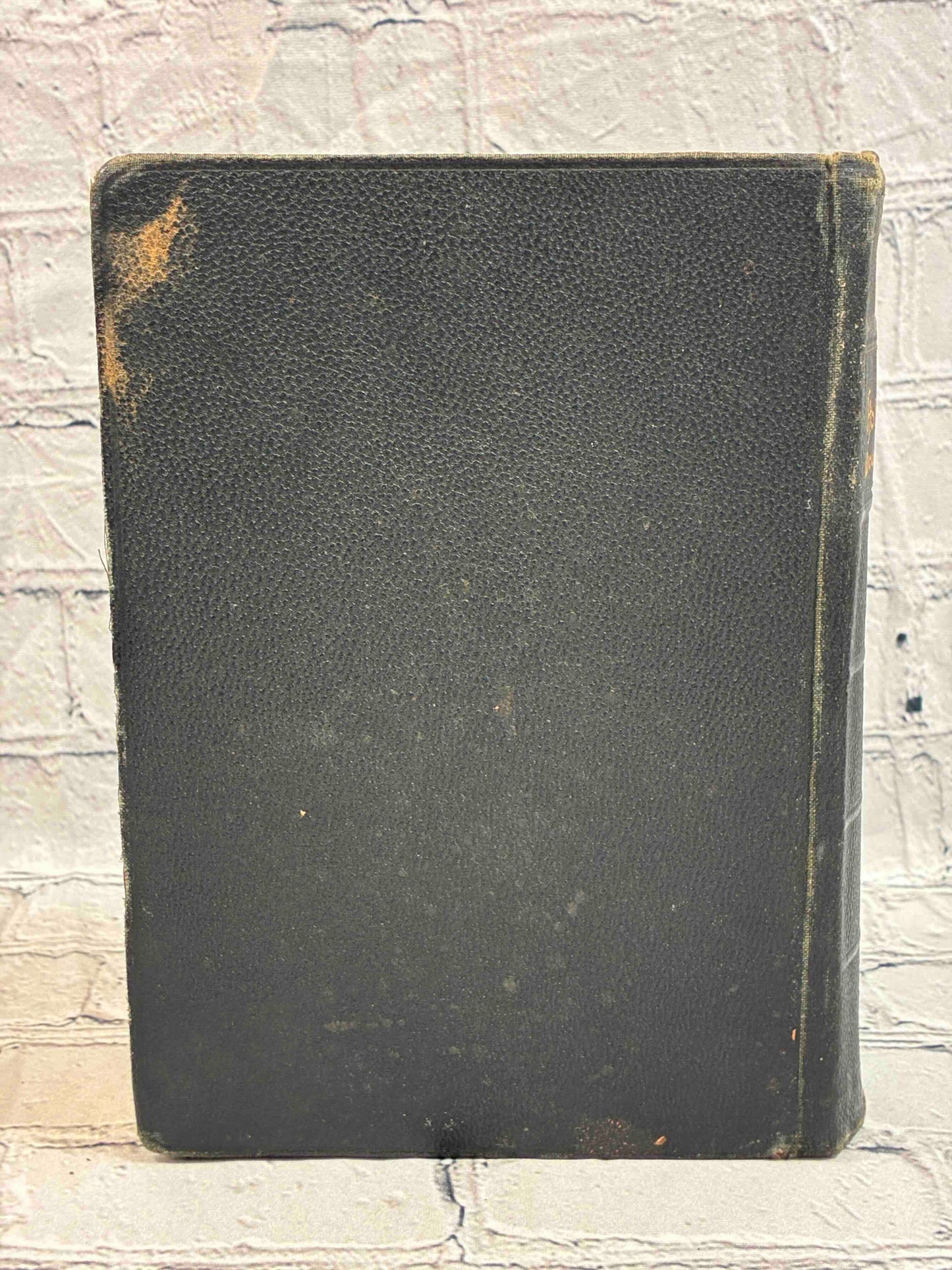 The Holy Bible Douay Version