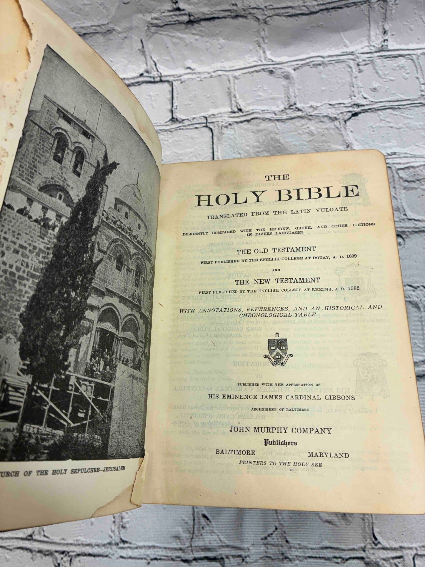 The Holy Bible Douay Version