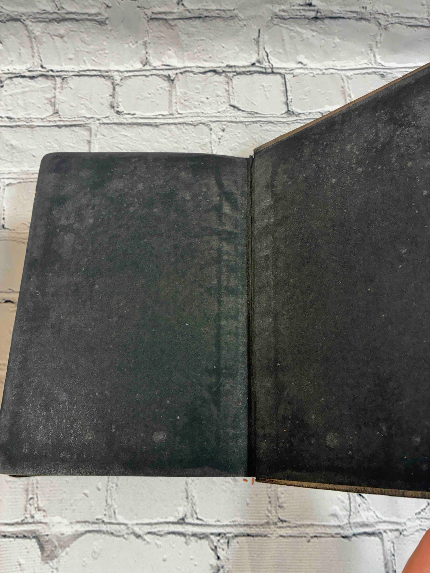 The Holy Bible Douay Version