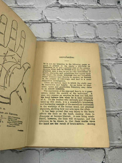 Hands and How to Read Them