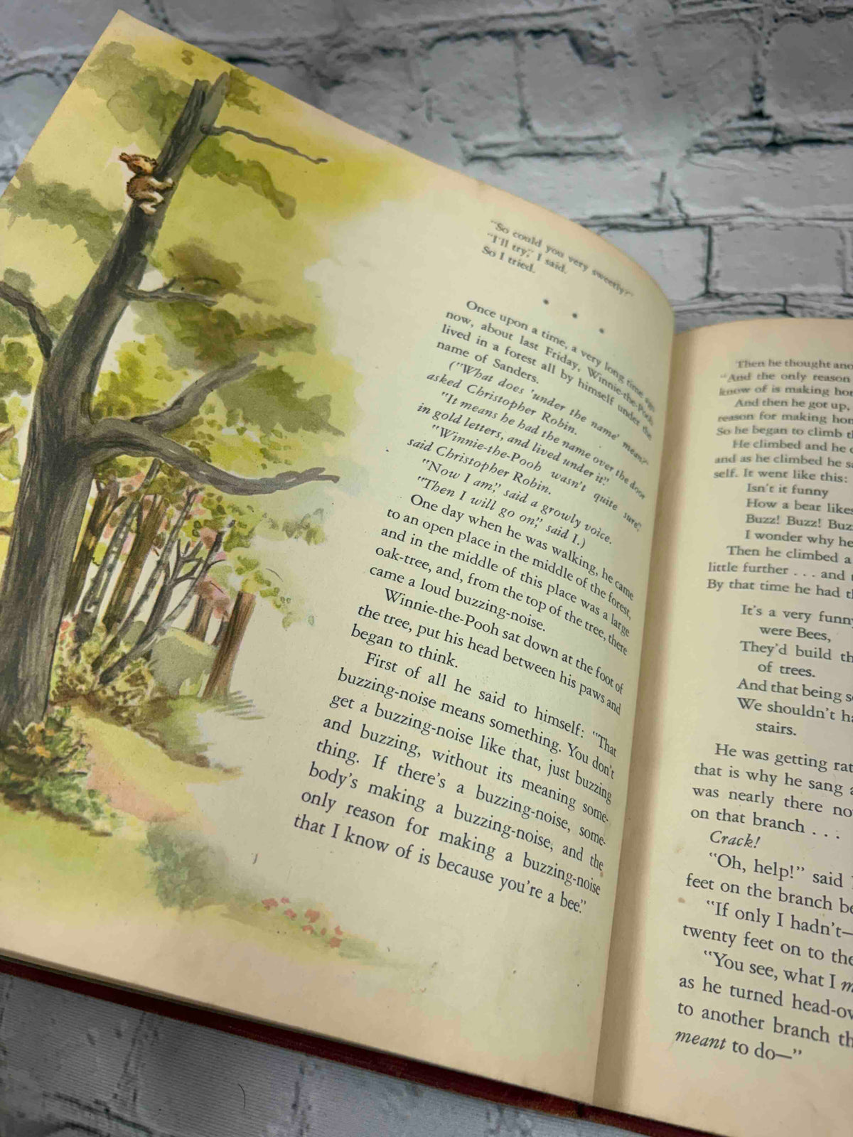 Winnie-the-Pooh