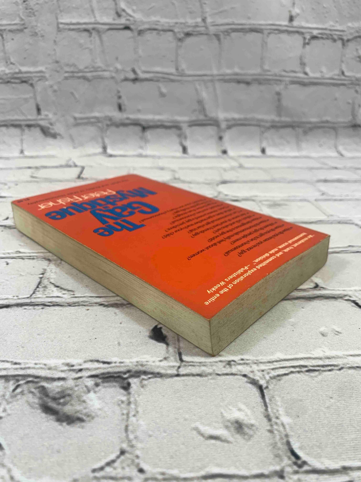 THE GAY MYSTIQUE: The Myth and Reality of Male Homosexuality