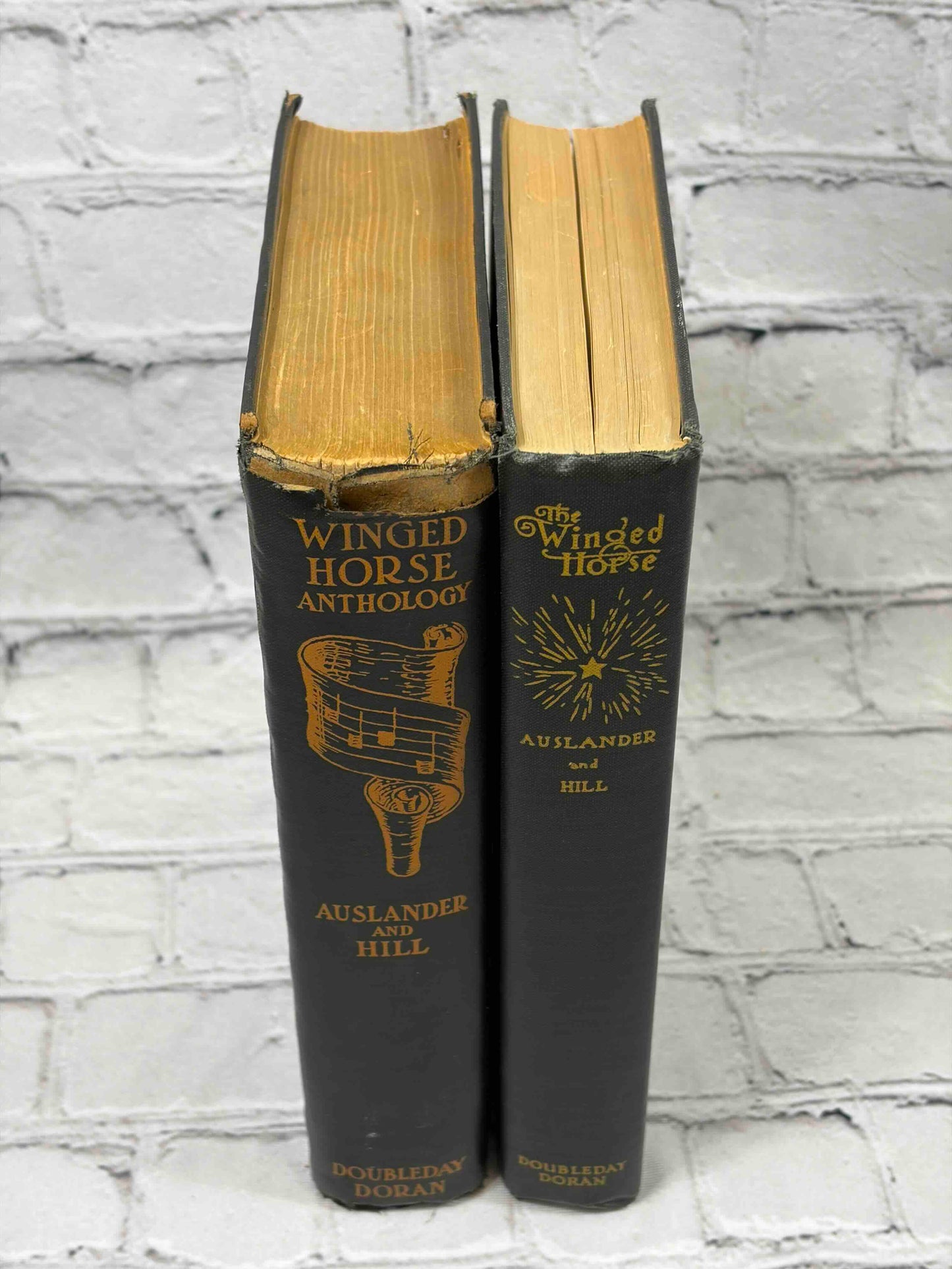 The Winged Horse / Antholgy