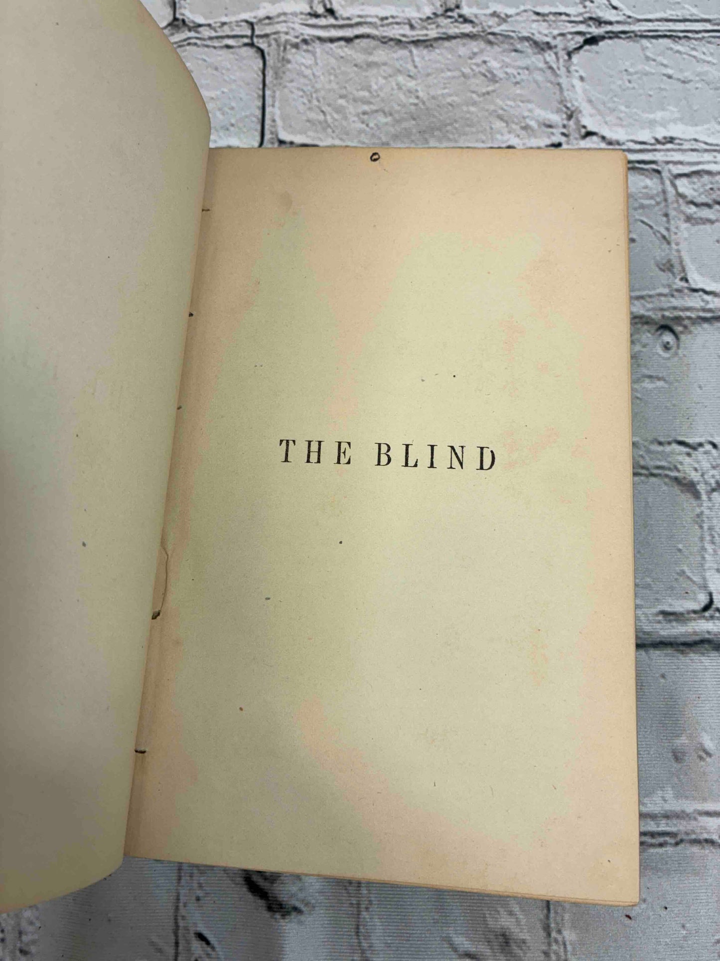 Beauties and Achievements of the Blind