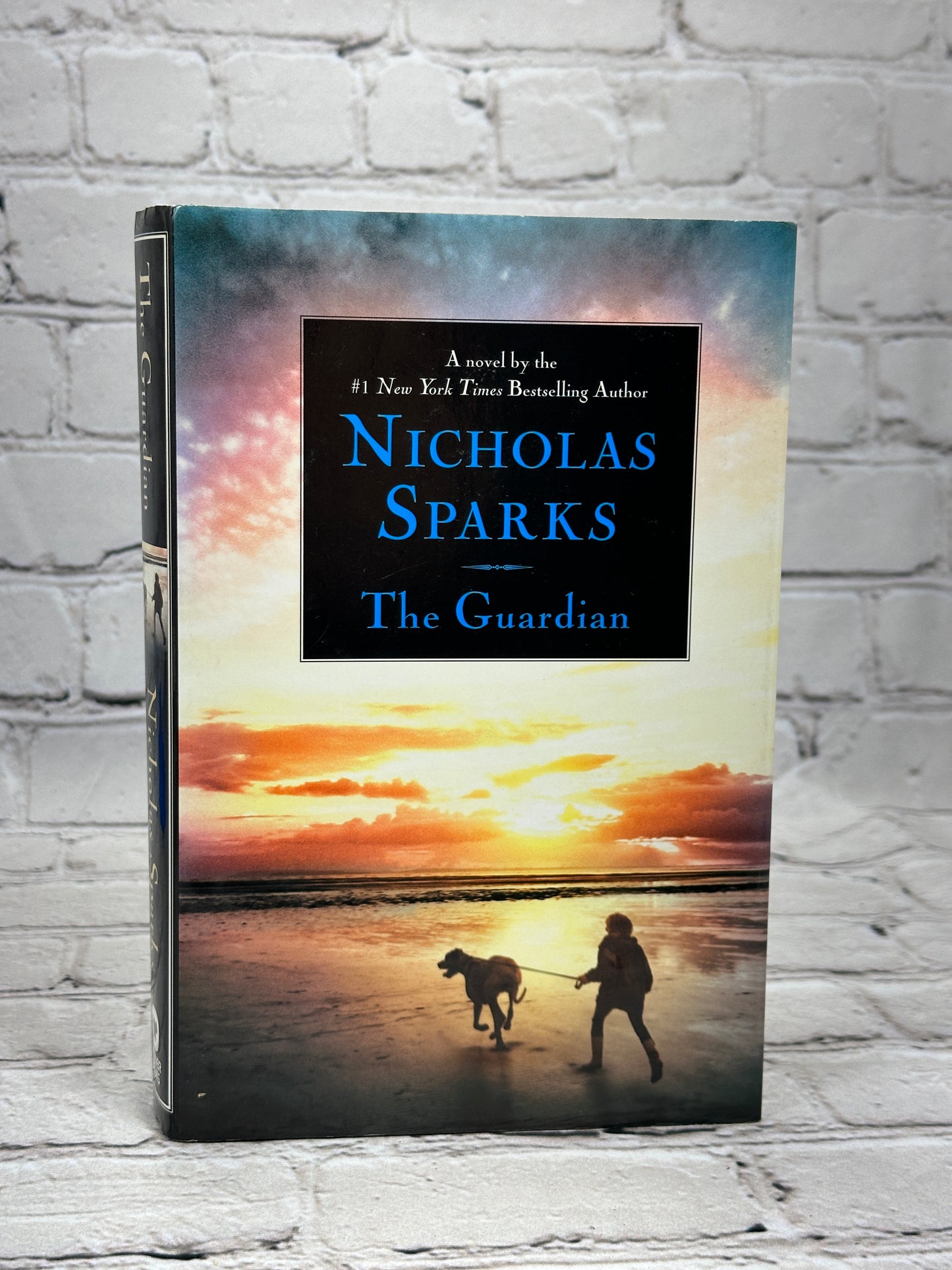 The Guardian by Nicholas Spark [1996]