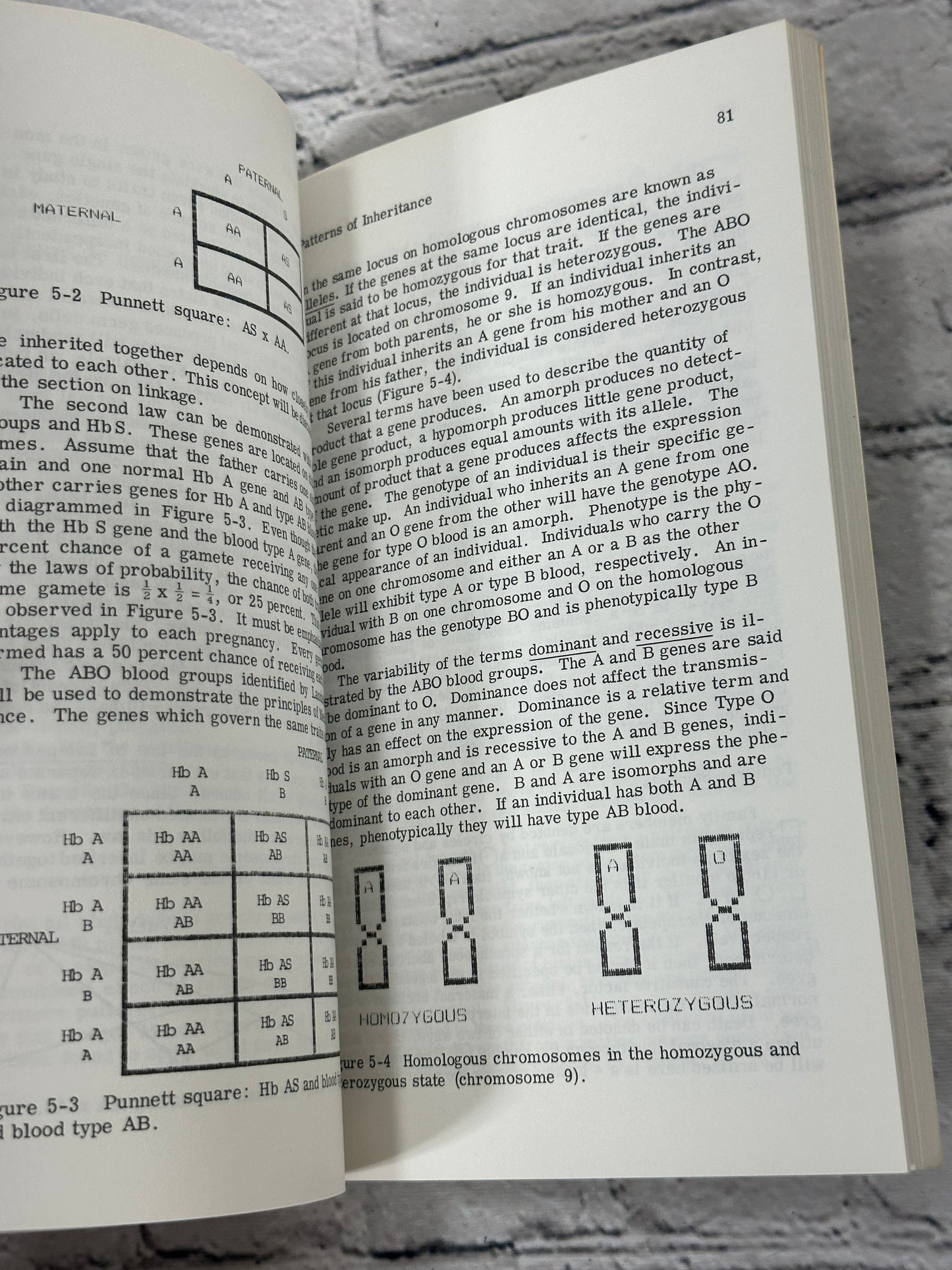 Clinical Human Genetics: A Text for Health Pros..by Christina Kasprisin [1982]