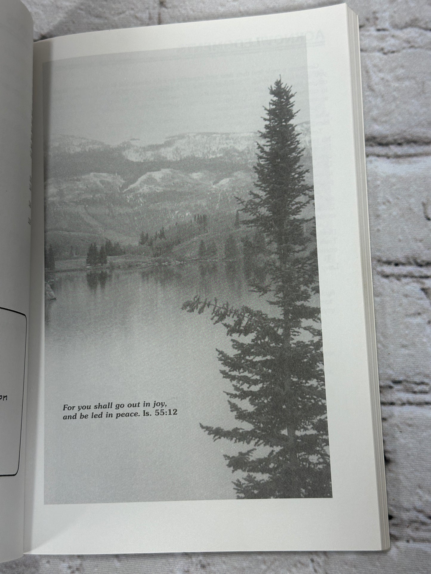 The New Summit Hiker and Ski Tourining Guide by Mary Gilliland [1995]